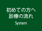 system